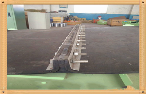 皮带草莓视频在线视频接头式型号