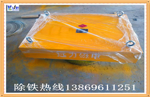 永磁磁力草莓视频在线视频厂家哪家好？远力让您使用放心