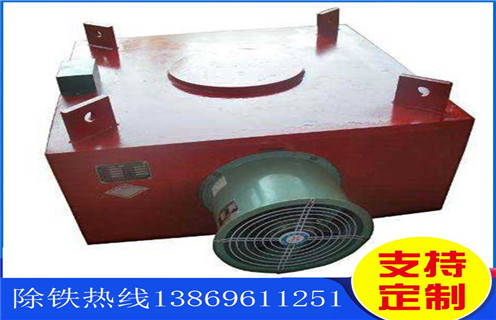 电磁草莓视频在线视频,带式电磁草莓视频在线视频,风冷带式电磁草莓视频在线视频工作原理 电磁草莓视频在线视频,带式电磁草莓视频在线视频,风冷带式电磁草莓视频在线视频工作原理