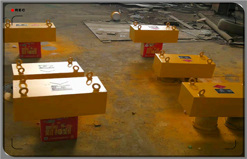 永磁草莓视频在线视频，定做永磁草莓视频在线视频rcyb 8