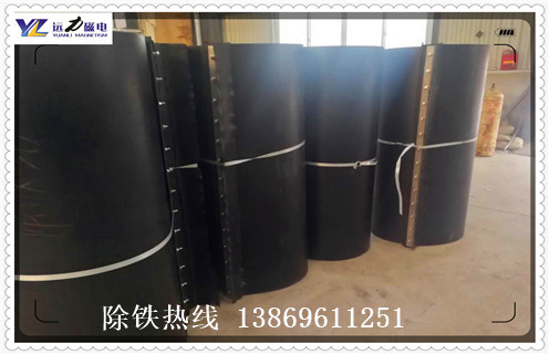 永磁草莓视频在线视频，广东RCYB--12永磁草莓视频在线视频行业标准知识参数_内部磁块安装方法_广东RCYB--12永磁草莓视频在线视频行业标准型号价格 