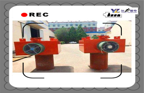 风冷电磁草莓视频在线视频，湖南风冷电磁草莓视频在线视频_选型_湖南风冷电磁草莓视频在线视频工作原理_价格 