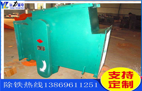 管道式草莓视频在线视频，西藏管道式草莓视频在线视频图片_远力西藏管道式草莓视频在线视频图片价格原理厂家哪家好安装说明书12000高斯 可定制工作原理_安装示意图